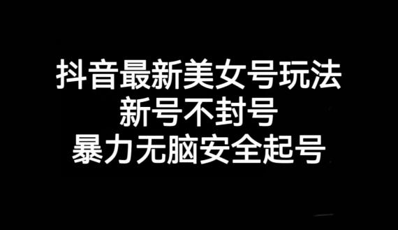 抖音最新美女号玩法，新号不封号，暴力无脑安全起号【揭秘】-轻创副业圈