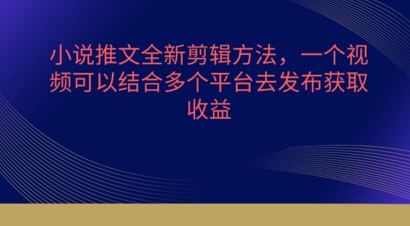 小说推文全新剪辑方法，一个视频可以结合多个平台去发布获取【揭秘】-轻创副业圈