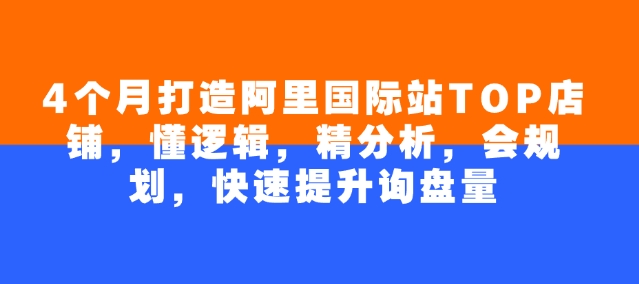 4个月打造阿里国际站TOP店铺，懂逻辑，精分析，会规划，快速提升询盘量-轻创副业圈