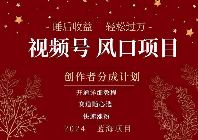 拥有睡眠收益的微信视频号大风口项目，轻松月入过万+，多赛道选择，可…-轻创副业圈