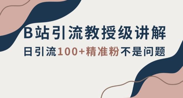 B站引流教授级讲解，细节满满，日引流100+精准粉不是问题【揭秘】-轻创副业圈