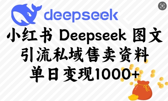 小红书Deepseek图文引流私域售卖资料，单日变现多张-轻创副业圈