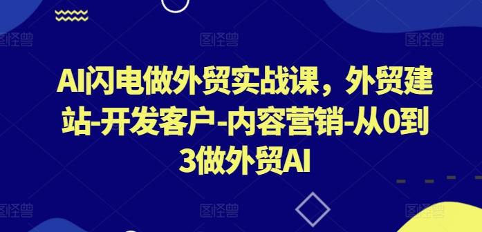 AI闪电做外贸实战课，​外贸建站-开发客户-内容营销-从0到3做外贸AI-轻创副业圈