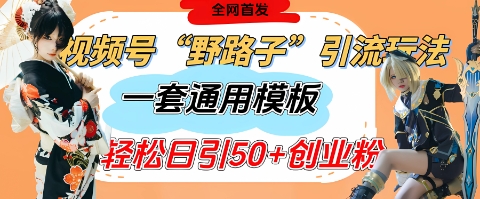 视频号“野路子”玩法，评论区疯狂截流，一套模板单日单号引流50+创业粉-轻创副业圈
