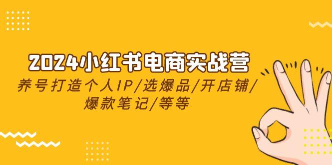 2024小红书电商实战营，养号打造IP/选爆品/开店铺/爆款笔记/等等(24节)-轻创副业圈
