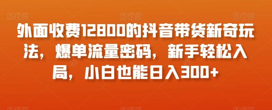 外面收费12800的抖音带货新奇玩法，爆单流量密码，新手轻松入局，小白也能日入300+【揭秘】-轻创副业圈
