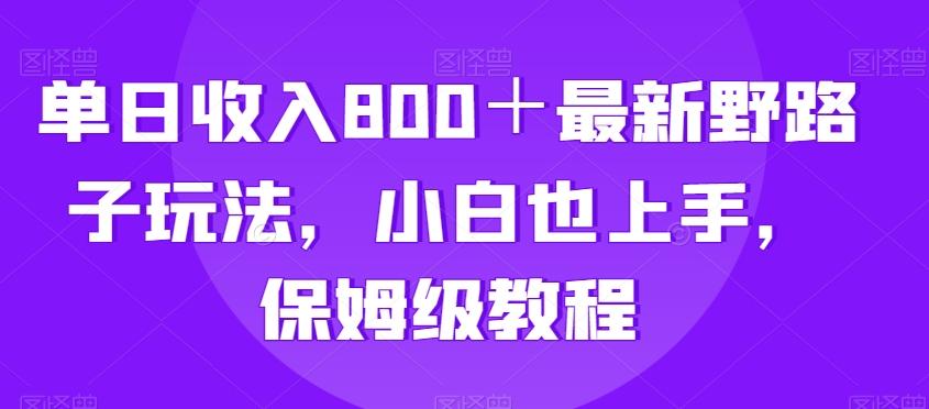 单日收入800＋最新野路子玩法，小白也上手，保姆级教程-轻创副业圈