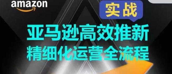 亚马逊高效推新精细化运营全流程，全方位、快速拉升产品排名和销量!-轻创副业圈