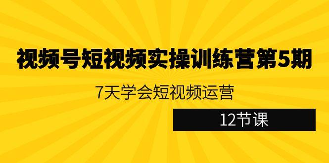 视频号短视频实操训练营第5期：7天学会短视频运营(12节课)-轻创副业圈