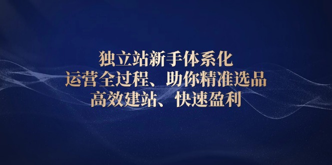 独立站新手体系化 运营全过程，助你精准选品、高效建站、快速盈利-轻创副业圈