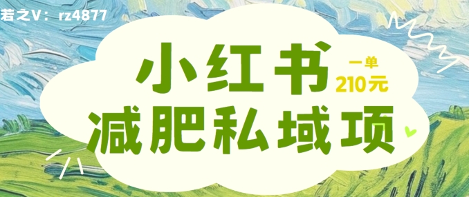 小红书减肥粉，私域变现项目，一单就达210元，小白也能轻松上手【揭秘】-轻创副业圈