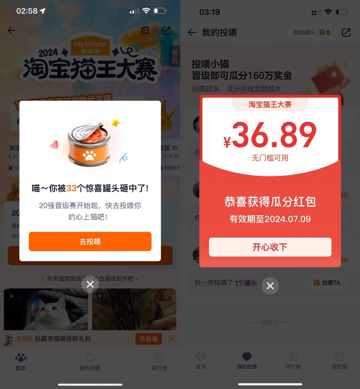 淘宝猫王大赛投喂得最高666亓-趣奇资源网-第6张图片