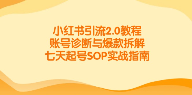 小红书引流2.0教程，账号诊断与爆款拆解，七天起号SOP实战指南-轻创副业圈