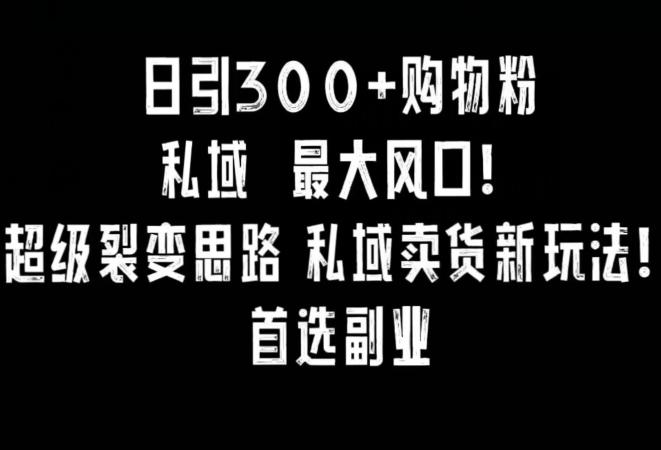 日引300+购物粉，超级裂变思路，私域卖货新玩法，小红书首选副业【揭秘】-轻创副业圈