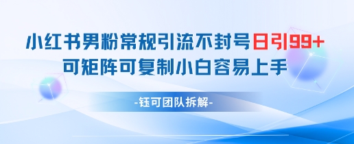 小红书男粉常规引流不封号日引99+变现简单 可矩阵可复制小白容易上手-轻创副业圈