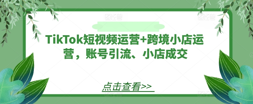 TikTok短视频运营+跨境小店运营，账号引流、小店成交-轻创副业圈