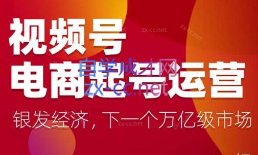 陈大黑牛·视频号电商起号运营课(更新到24年5月)-轻创副业圈