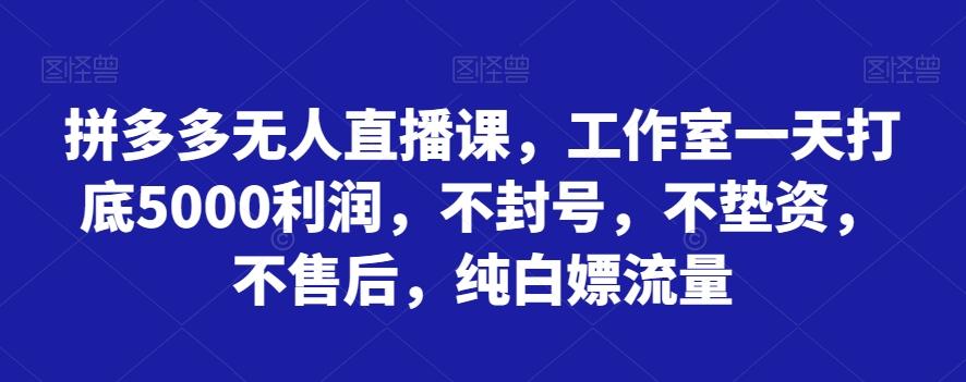 拼多多无人直播课，工作室一天打底5000利润，不封号，不垫资，不售后，纯白嫖流量-轻创副业圈