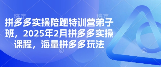 拼多多实操陪跑特训营弟子班，2025年2月拼多多实操课程，海量拼多多玩法-轻创副业圈