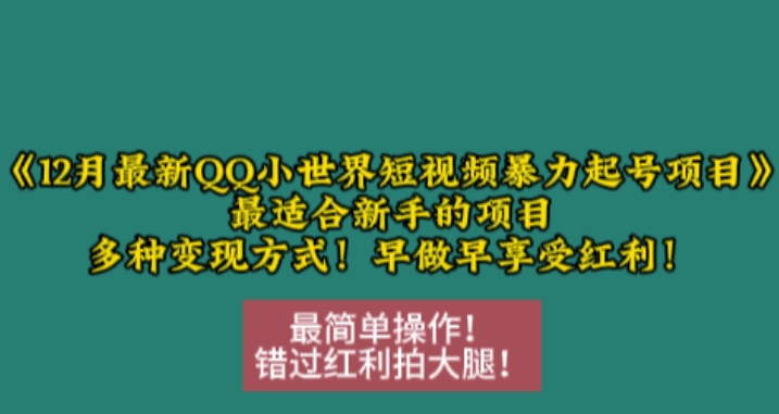 12月最新QQ小世界短视频暴力起号项目，最适合新手的项目，多种变现方式-轻创副业圈