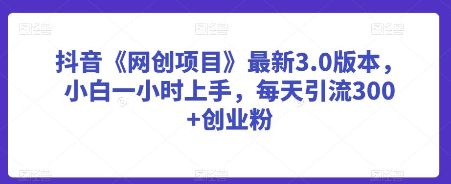 抖音《网创项目》最新3.0版本，小白一小时上手，每天引流300+创业粉【揭秘】-轻创副业圈