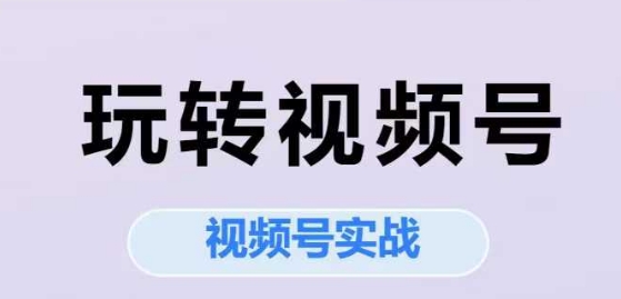 玩转视频号，视频号实战系列课-轻创副业圈