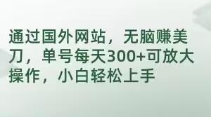 通过国外网站，无脑赚美刀，单号每天300+可放大操作，小白轻松上手【揭秘】-轻创副业圈
