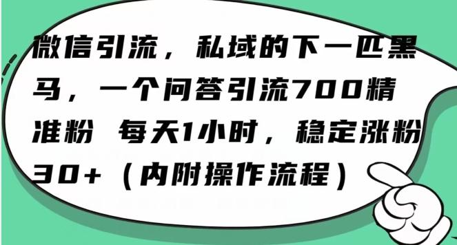 怎么搞精准创业粉？微信新赛道，每天一小时，利用Ai一个问答日引100精准粉-轻创副业圈