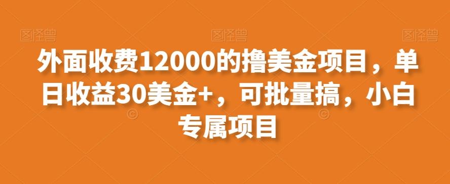 外面收费12000的撸美金项目，单日收益30美金+，可批量搞，小白专属项目-轻创副业圈