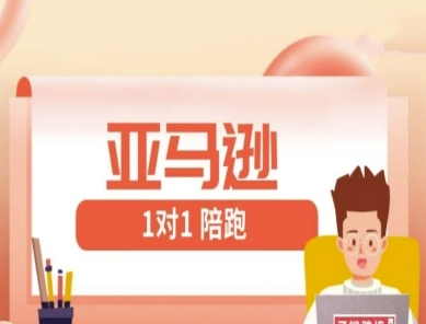 亚马逊1对1陪跑课(FBA/FBM精铺)跨境亚马逊教程-轻创副业圈