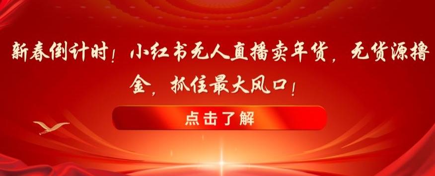 新春倒计时！小红书无人直播卖年货，无货源撸金，抓住最大风口【揭秘】-轻创副业圈