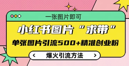 小红书图片‘求带’爆火引流法，单张图片引流500+精准创业粉【揭秘】-轻创副业圈
