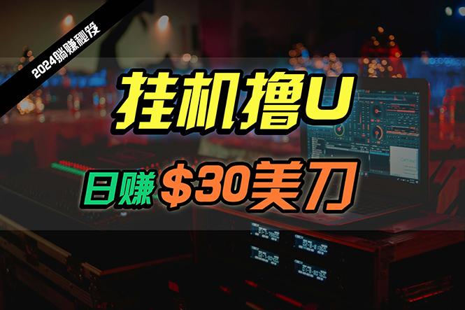 (10013期)日赚30美刀，2024最新海外挂机撸U内部项目，全程无人值守，可批量放大-轻创副业圈