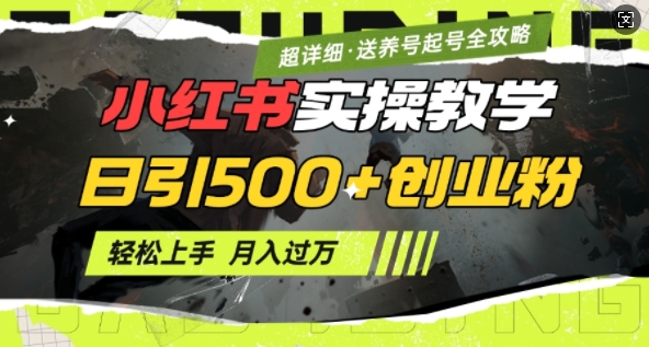 2月小红书最新日引500+创业粉实操教学【超详细】小白轻松上手，月入1W+，附小红书养号起号SOP-轻创副业圈