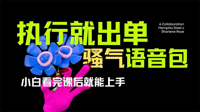爆火全网的开车导航骚气语音包,只要执行就出单，小白看完课程就能实操…-轻创副业圈
