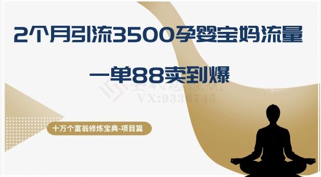 十万个富翁修炼宝典之13.2个月引流3500孕婴宝妈流量，一单88卖到爆-轻创副业圈