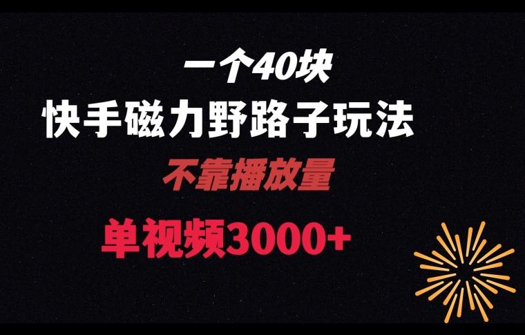 一个40块，快手联合美团磁力新玩法，无视机制野路子玩法，单视频收益4位数【揭秘】-轻创副业圈