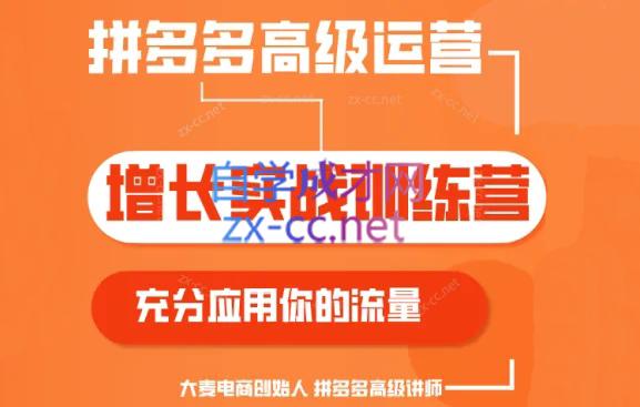 大麦老师·拼多多单品爆款打造课程(更新6月)-轻创副业圈