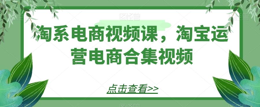 淘系电商视频课，淘宝运营电商合集视频-轻创副业圈