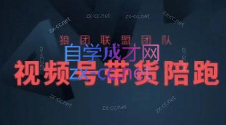 狼团联盟·2024视频号带货-轻创副业圈