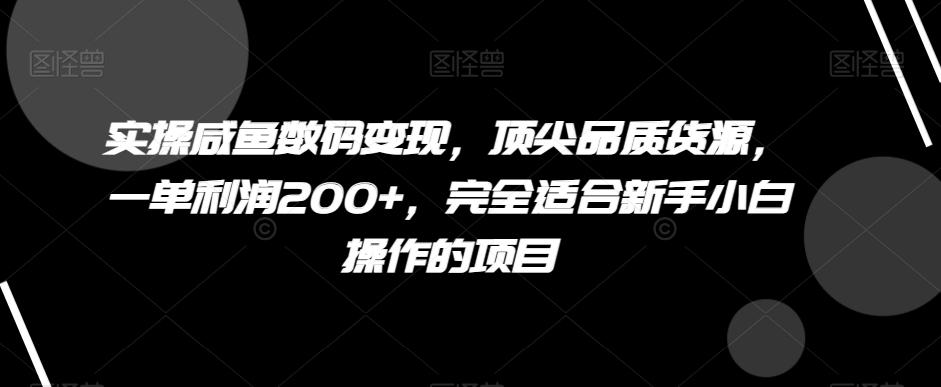 实操咸鱼数码变现，顶尖品质货源，一单利润200+，完全适合新手小白操作的项目【揭秘】-轻创副业圈