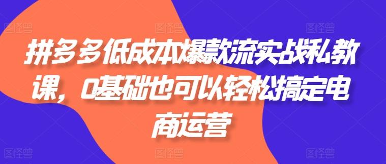 拼多多低成本爆款流实战私教课，0基础也可以轻松搞定电商运营-轻创副业圈