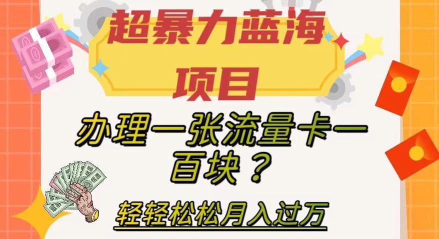 超暴力蓝海项目，办理一张流量卡一百块？轻轻松松月入过万，保姆级教程【揭秘】-轻创副业圈
