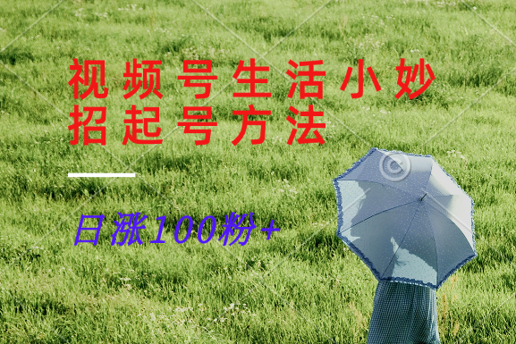 视频号生活小妙招分享赛道， 起号涨粉新方法，日涨100粉-轻创副业圈