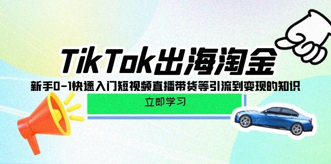 (10035期)TikTok-出海淘金，新手0-1快速入门短视频直播带货等引流到变现的知识-轻创副业圈