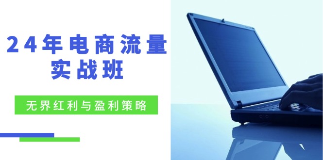 24年电商流量实战班：无界 红利与盈利策略，终极提升/关键词优化/精准…-轻创副业圈
