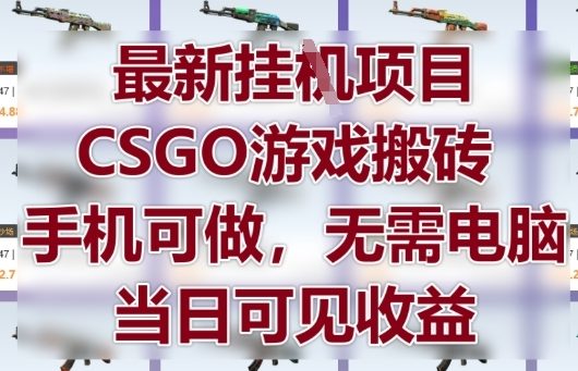 最新挂G项目，CSGO游戏搬砖，手机可做，无需电脑，当日见收益【揭秘】-轻创副业圈