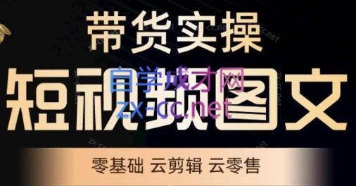 鑫哥·2024零基础短视频带货实操营-轻创副业圈