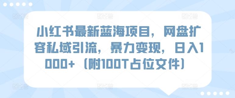 小红书最新蓝海项目，网盘扩容私域引流，暴力变现，日入1000+(附100T占位文件)【揭秘】-轻创副业圈