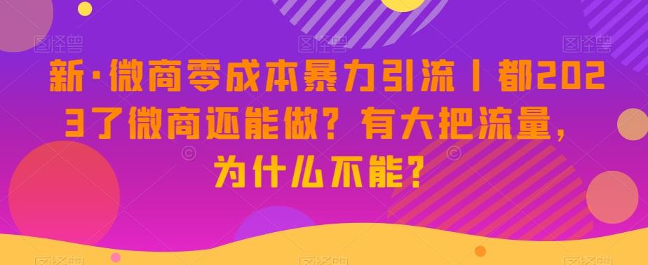 新·微商零成本暴力引流丨都2023了微商还能做？有大把流量，为什么不能？-轻创副业圈